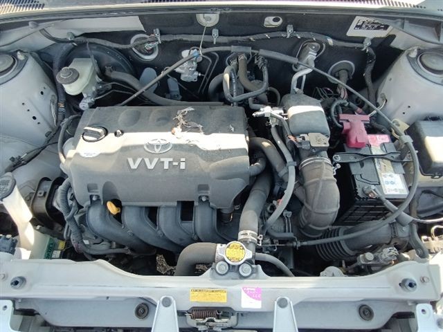 08.jpg