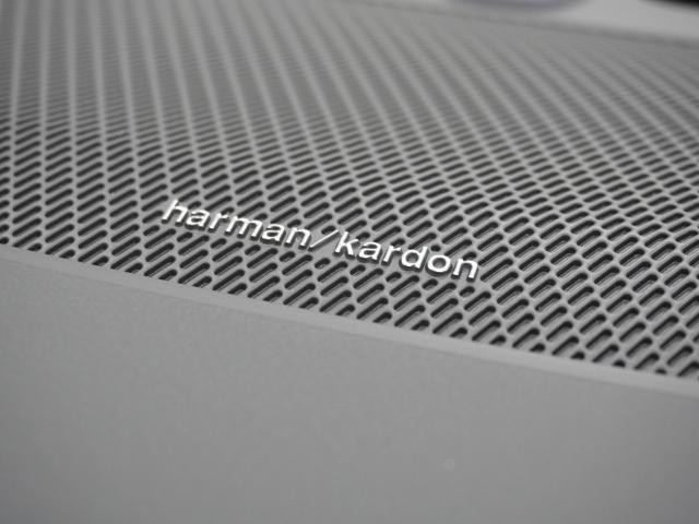 27205404_carP_l_19.jpg