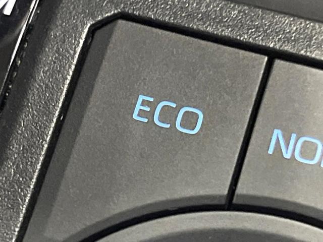 fcc19e4bf16ed318c6f34cb605ba54ee.jpg
