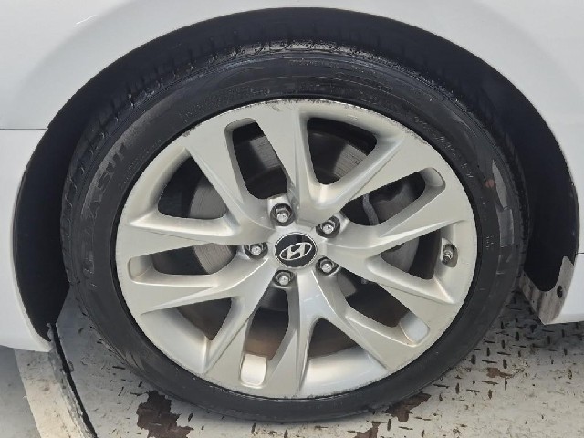 6051501183R19.jpg