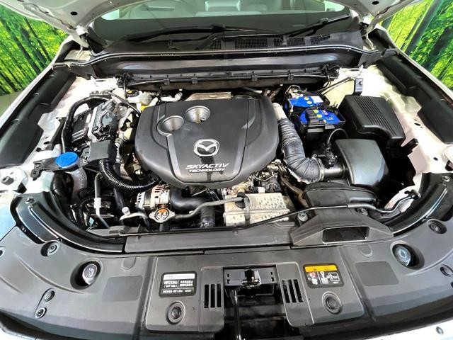 26731494_carP_l_16.jpg