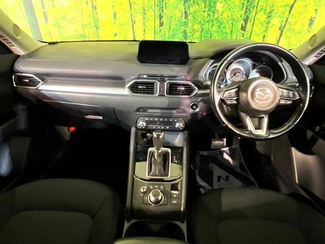 26731494_carP_l_3.jpg