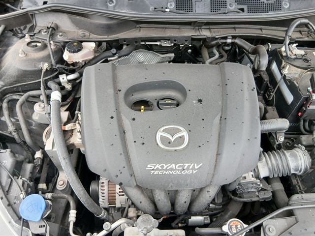 08.jpg
