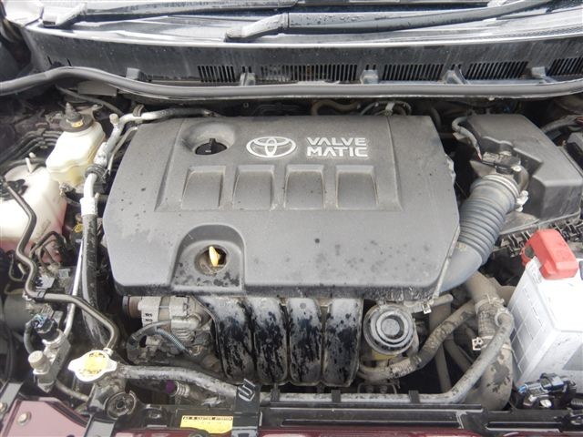 08.jpg