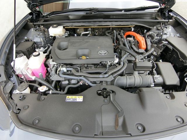 b3720e214706f6d928a5d792326c7df6.jpg