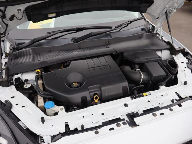 fbc5b735e9423e5e5a8c443dc280e3c8.jpg