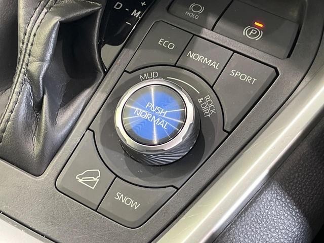 717bba4ae8197ec9148eeba23c080e90.jpg