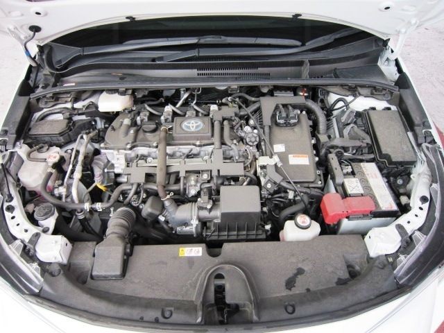 b51f8985fbd19c24007b836162db7b60.jpg