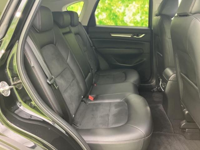25797793_carP_l_10.jpg