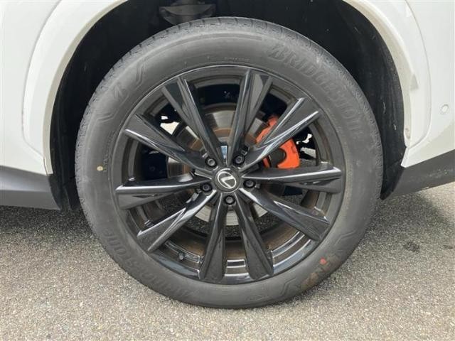 26511883_carP_l_7.jpg