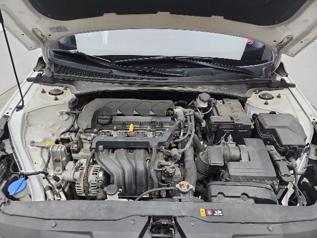 lotterental_10484460_LZEbq_7.jpg