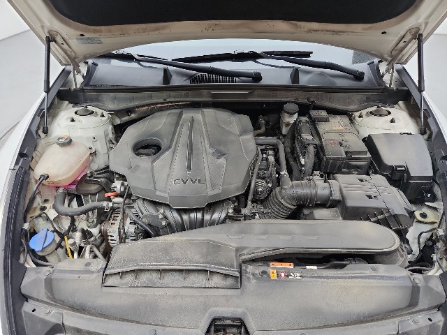 lotterental_202643219_kthRE_6.jpg