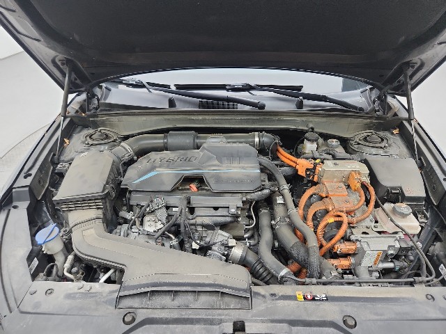 lotterental_204241198_1S4r0_2.jpg
