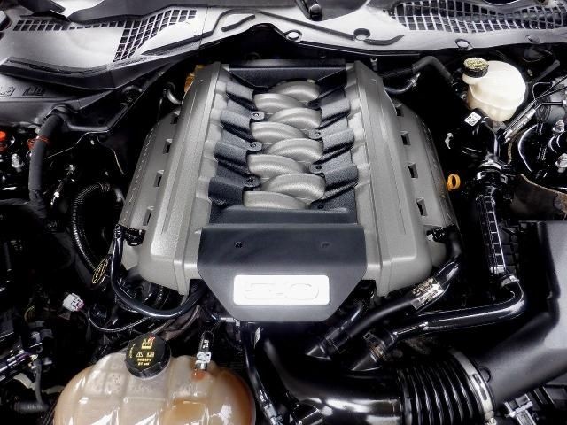 3cb45e5b49ac8ea9e39a0dbf950e101f.jpg