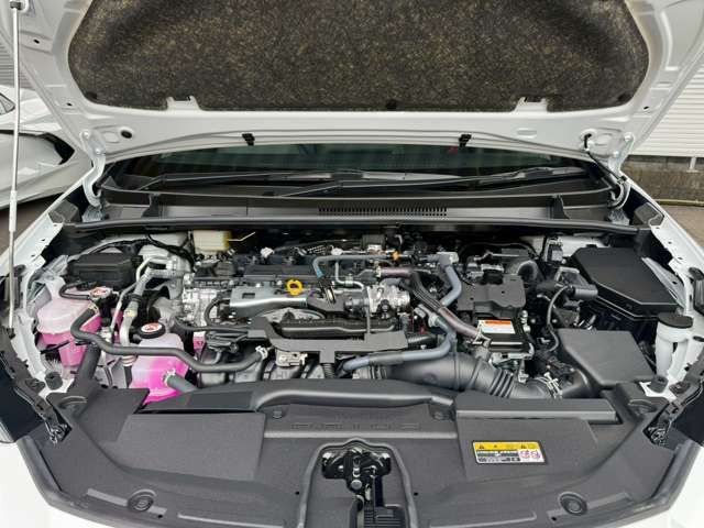 bf07cb2ada1f4fac778392195a9a4de8.jpg