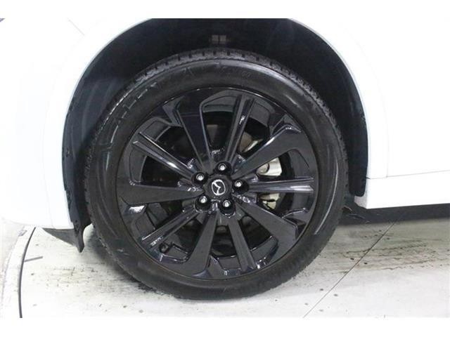 a8ec45f91e98a9a8a220f3183fca1163.jpg