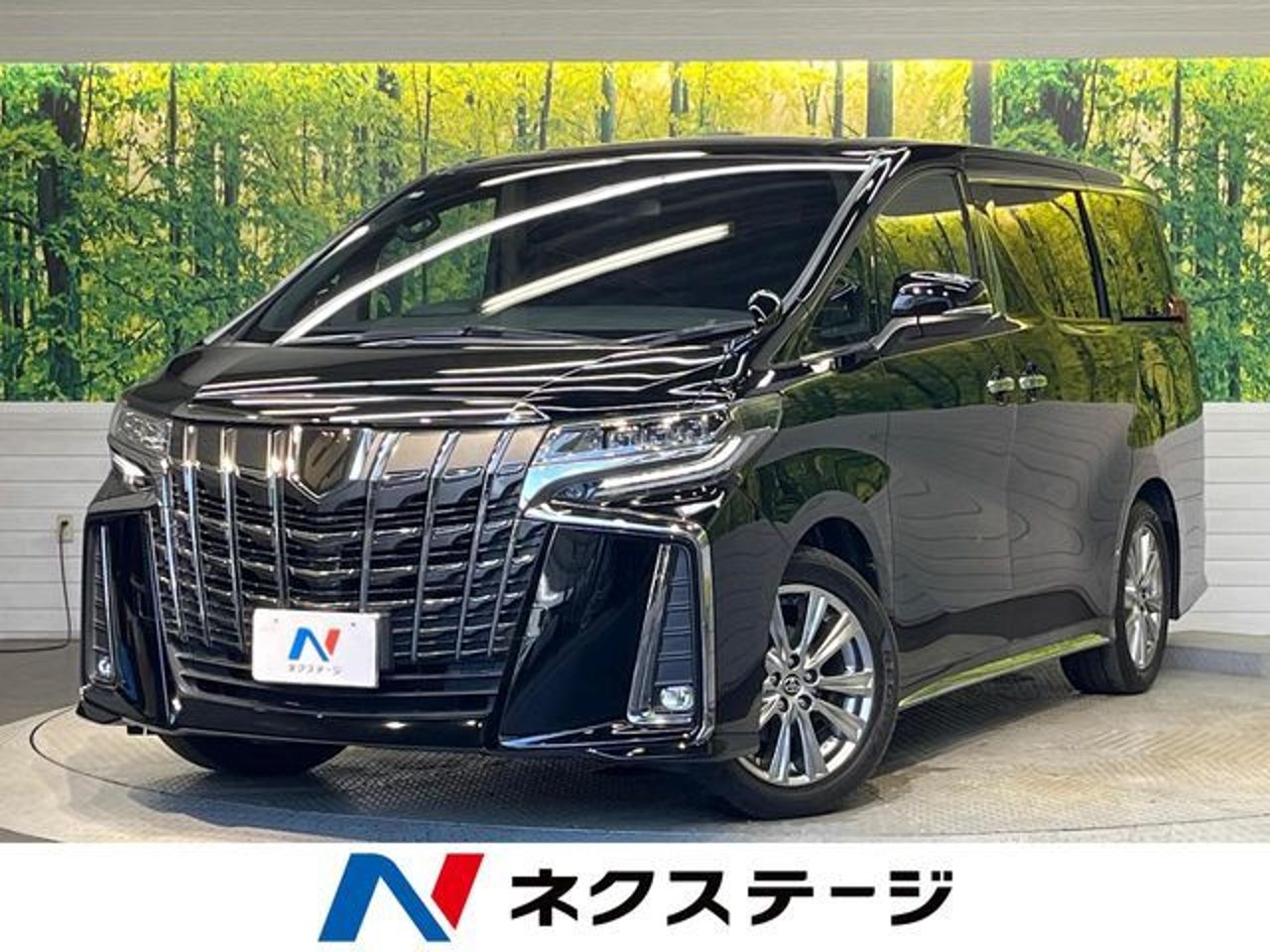 2021 Toyota Alphard, photo 1 of 1