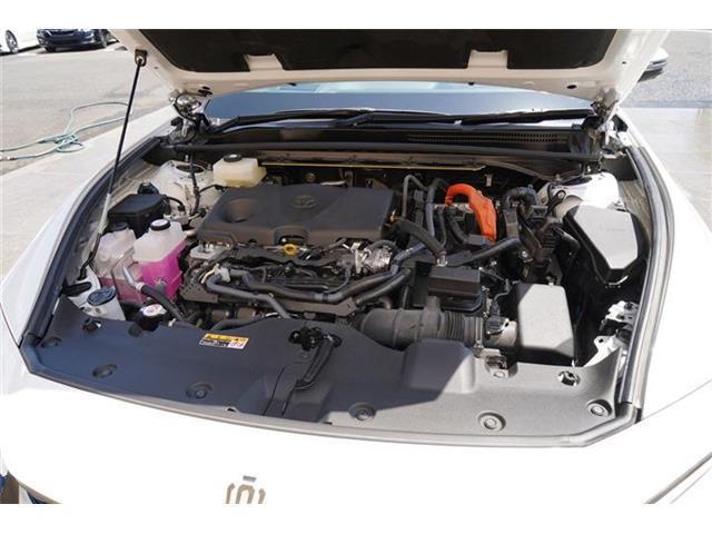 6950dd35cf87adfd46d5b2caeb1ba29c.jpg