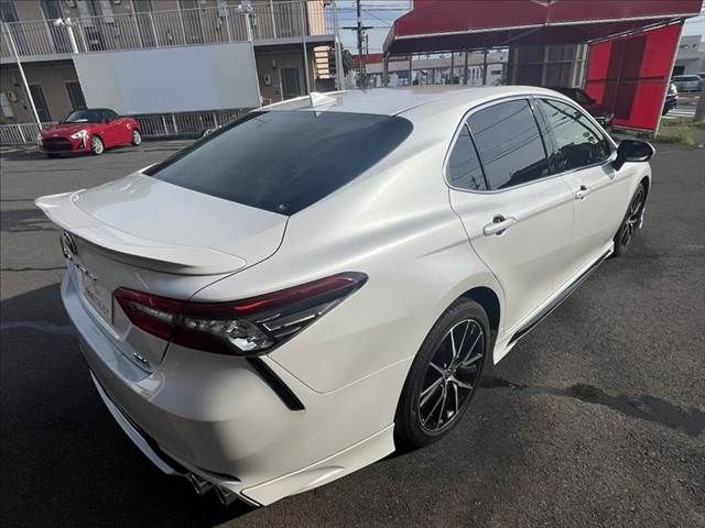 d29b61ce363edf5cc3f235f1e5f77181.jpg