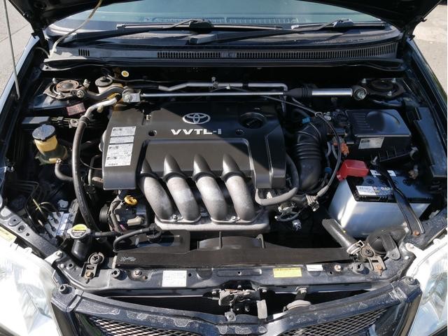 0540871A30261017W00207.jpg
