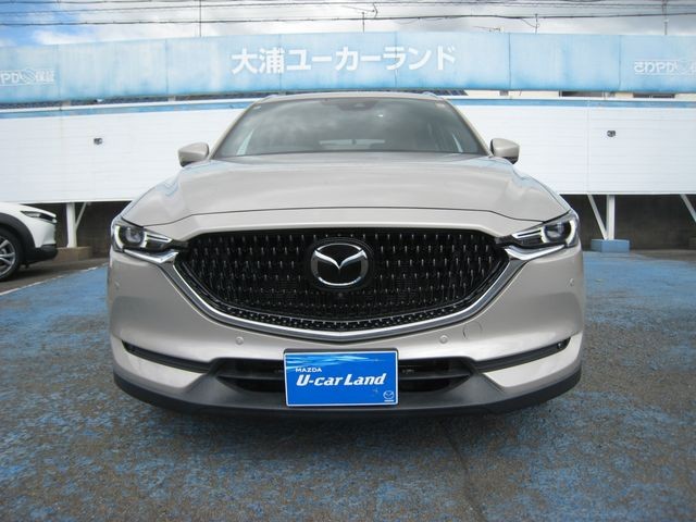 aef807ab140288ee4cbe0a48d06b05b2.jpg