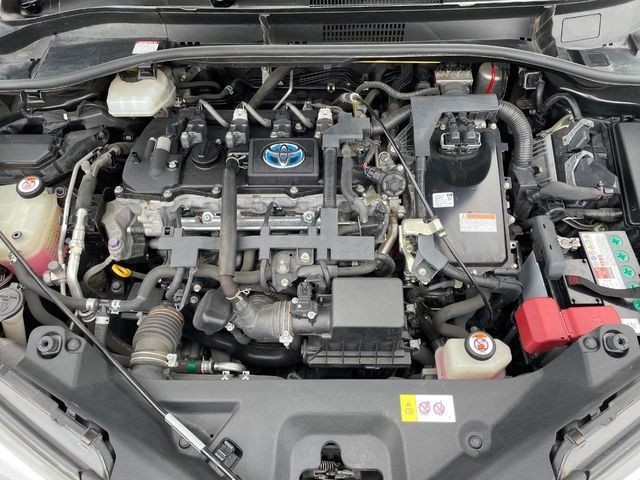 0e20ab309ece2a3050eb31f7ff07342e.jpg
