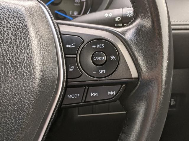 0503486A30260925W00812.jpg