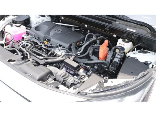 5ae86f5823ddd3511b3ce2dd48b91f55.jpeg