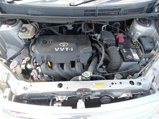 08.jpg