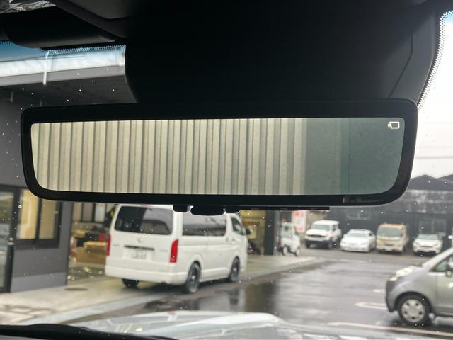 1020099A30260303W00117.jpg