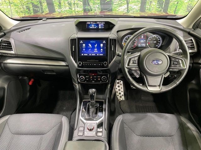 fd724dbb9da8b54fef32e9d79267681e.jpg