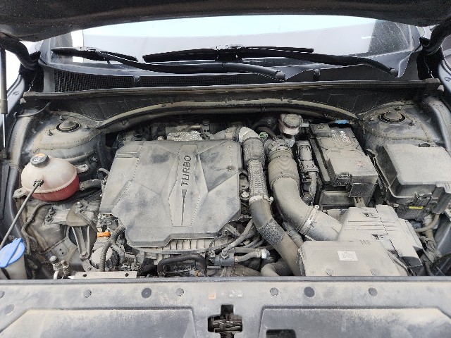 lotterental_151435522_sbI6n_10.jpg