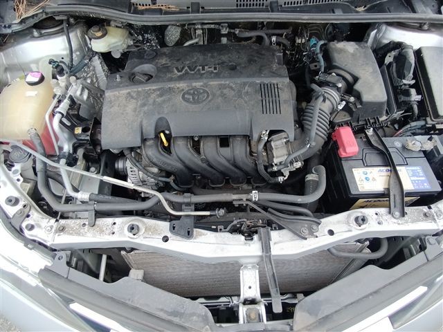08.jpg