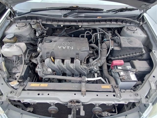 08.jpg