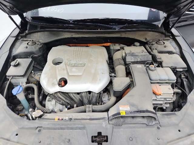 lotterental_21523709_jMaV2_10.jpg