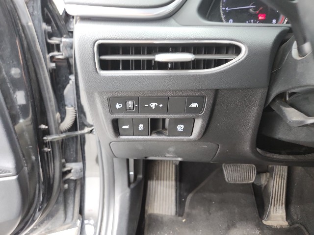 lotterental_152556687_v9tqO_4.jpg