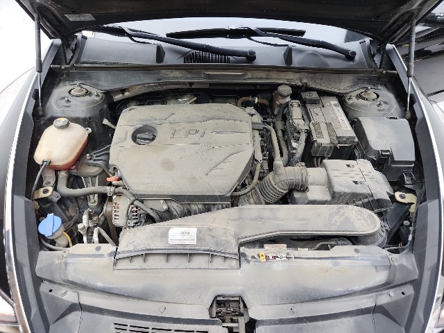 lotterental_152556960_0fjwr_9.jpg
