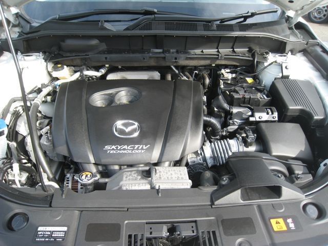 73177c0d3c1b5b7fe98660492fd1c35c.jpg