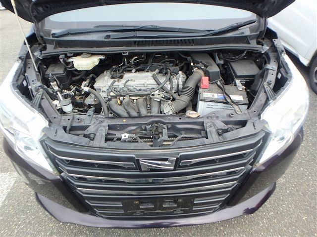 08.jpg