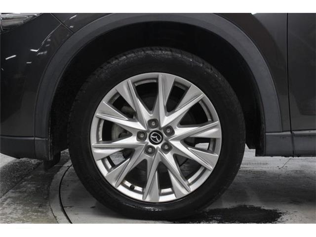 3ae9d92efab8e20b84c721652efb1de7.jpg