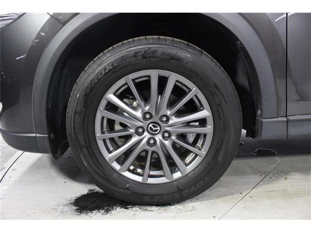 6cef6fec164b6ed760a135e249a9eace.jpg