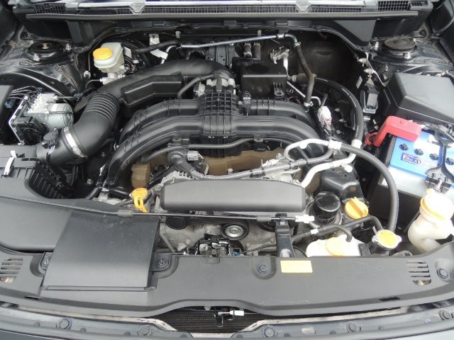 3d56688af4e8702ca0d207a6d2814fec.jpg