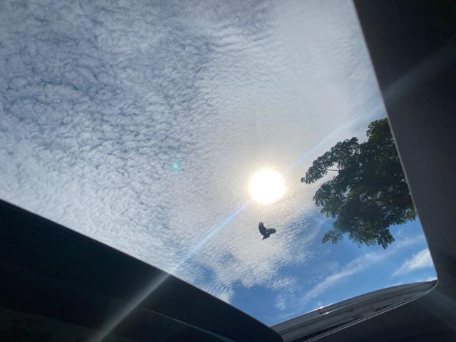 c778026ba260268955a9030c5c62fac7.jpeg