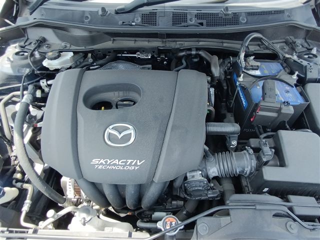 08.jpg