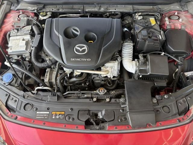 a0205ede0ee6f29c94e673a644ec63c3.jpg