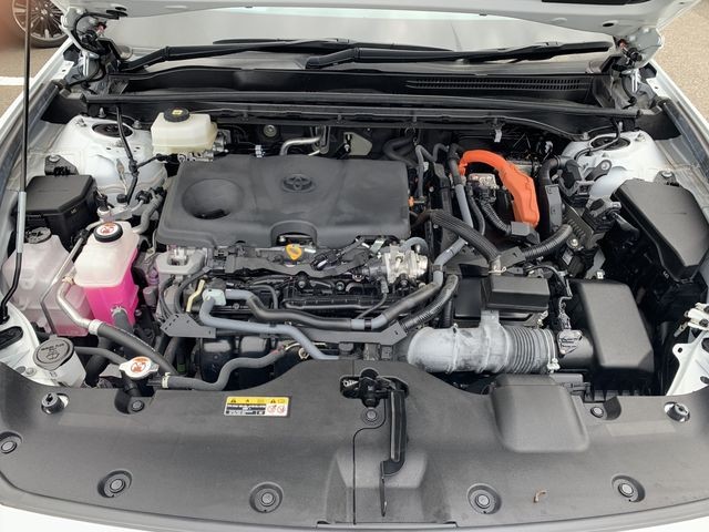 e3b420706ead928067ef03d2994c101a.jpg