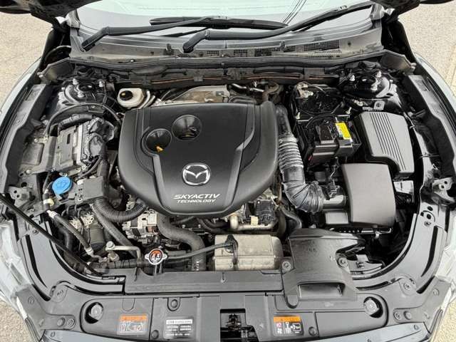e61d17f2ca745d4401fef1171ea36117.jpg