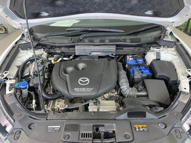 d204ae2f46a76a4219f359baf6d3e888.jpg