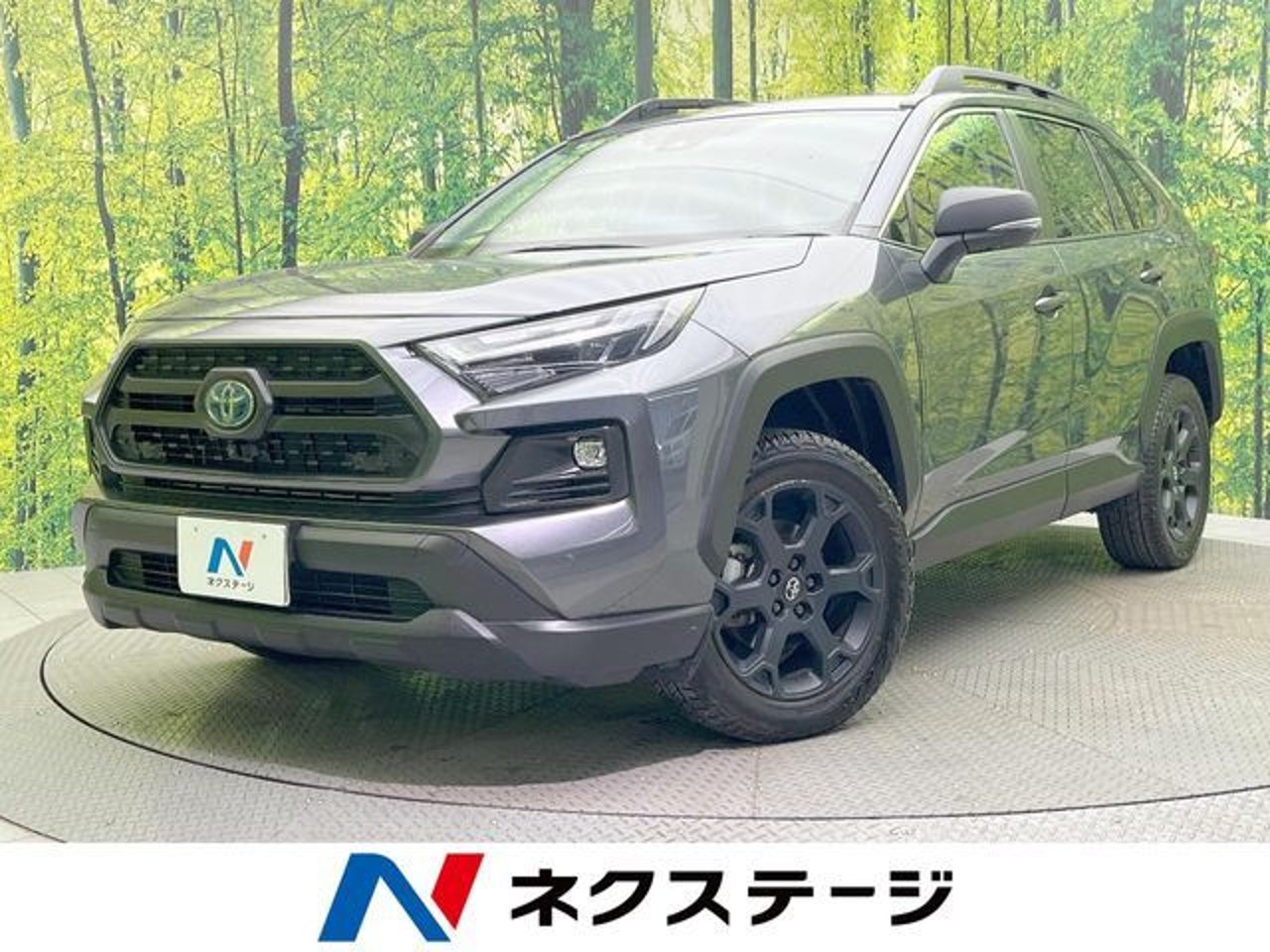 2024 Toyota Rav4, photo 1 of 1