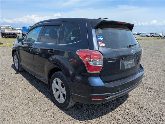 05.jpg